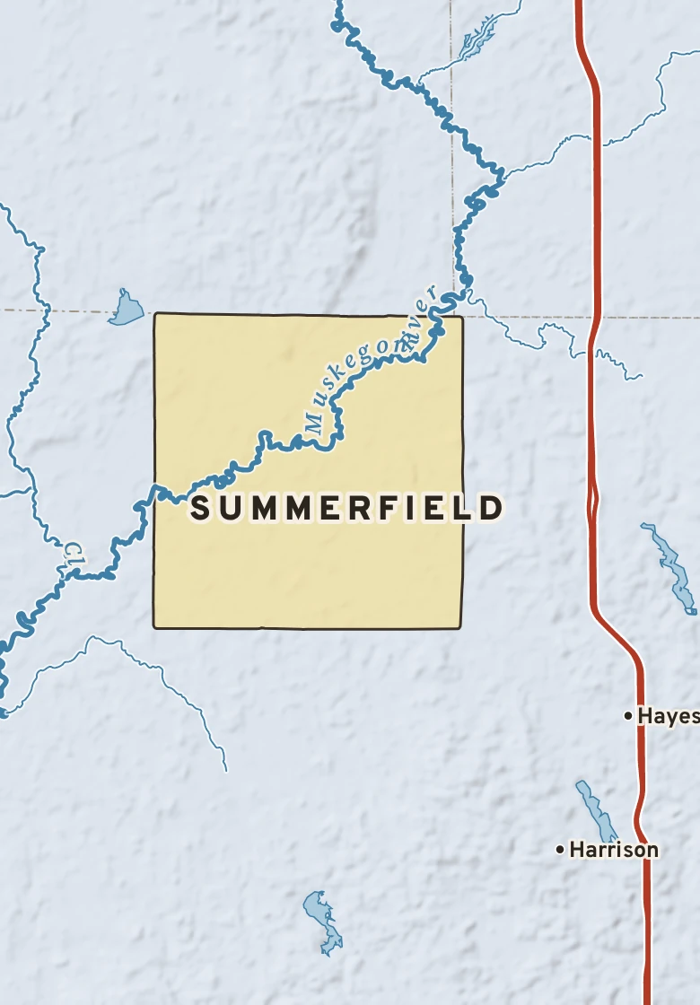 Atlas plate of Summerfield, Michigan.