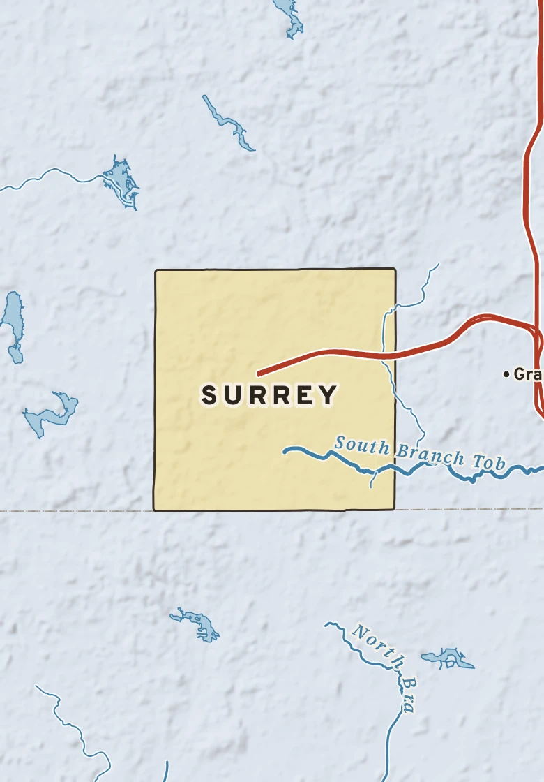 Atlas plate of Surrey, Michigan.