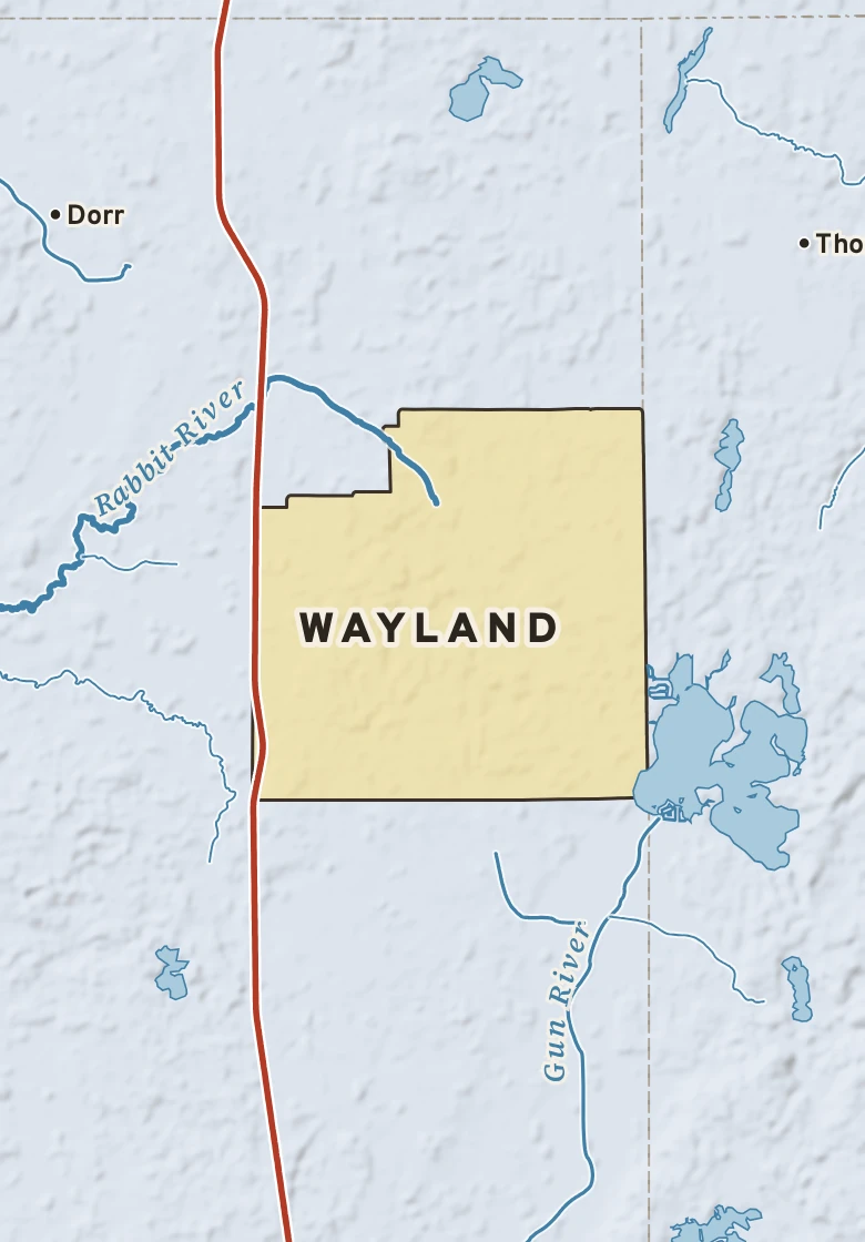 Atlas plate of Wayland, Michigan.