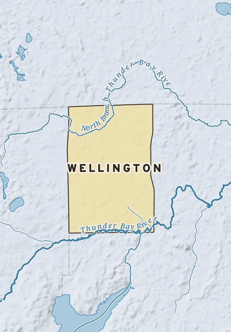 Atlas plate of Wellington, Michigan.