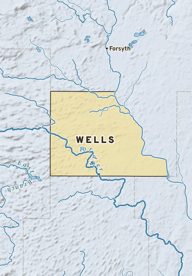 Atlas plate of Wells, Michigan.