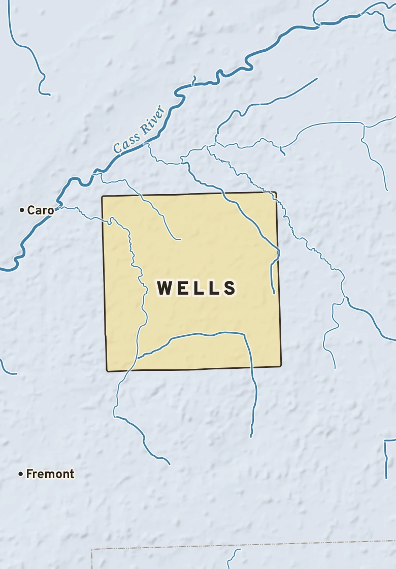 Atlas plate of Wells, Michigan.