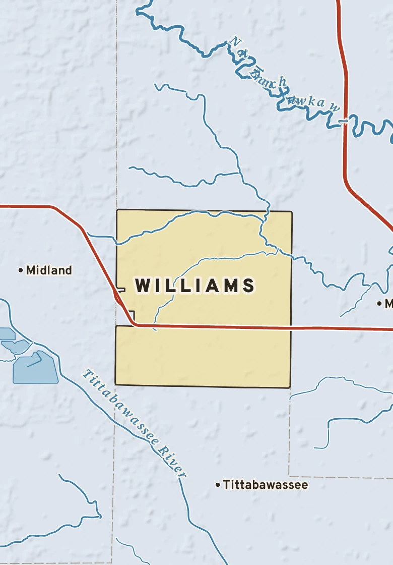 Atlas plate of Williams, Michigan.