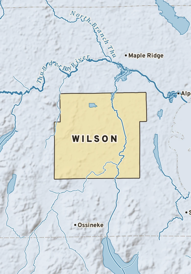 Atlas plate of Wilson, Michigan.
