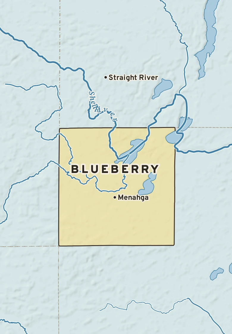 Atlas plate of Blueberry, Minnesota.