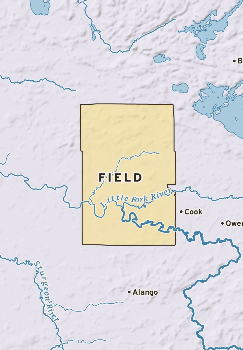 Atlas plate of Field, Minnesota.