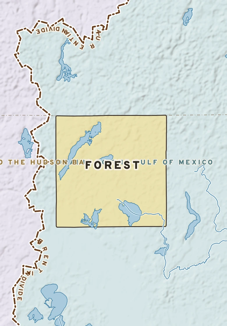 Atlas plate of Forest, Minnesota.