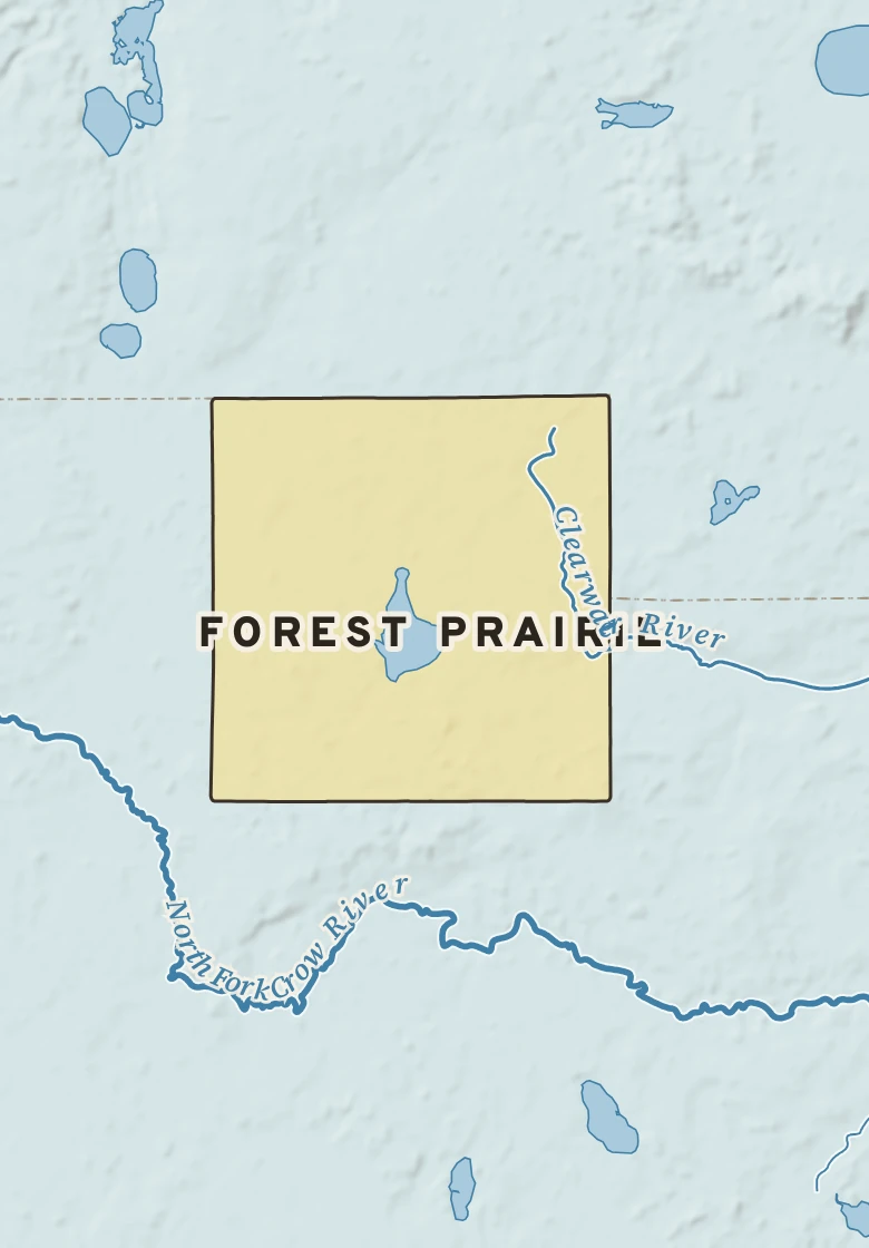 Atlas plate of Forest Prairie, Minnesota.