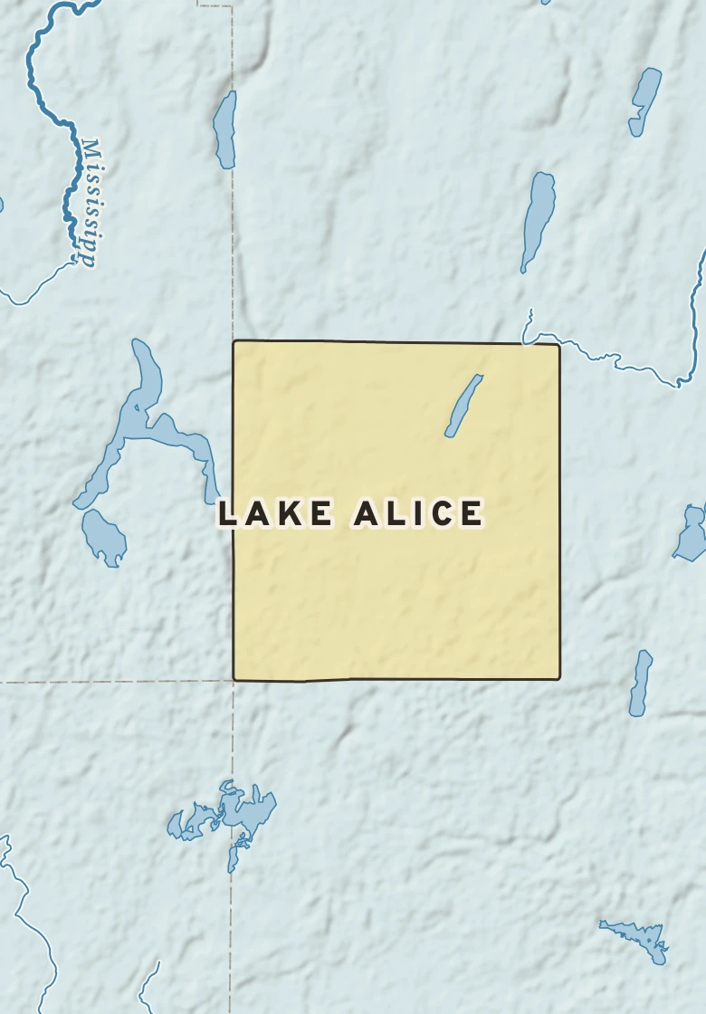 Atlas plate of Lake Alice, Minnesota.