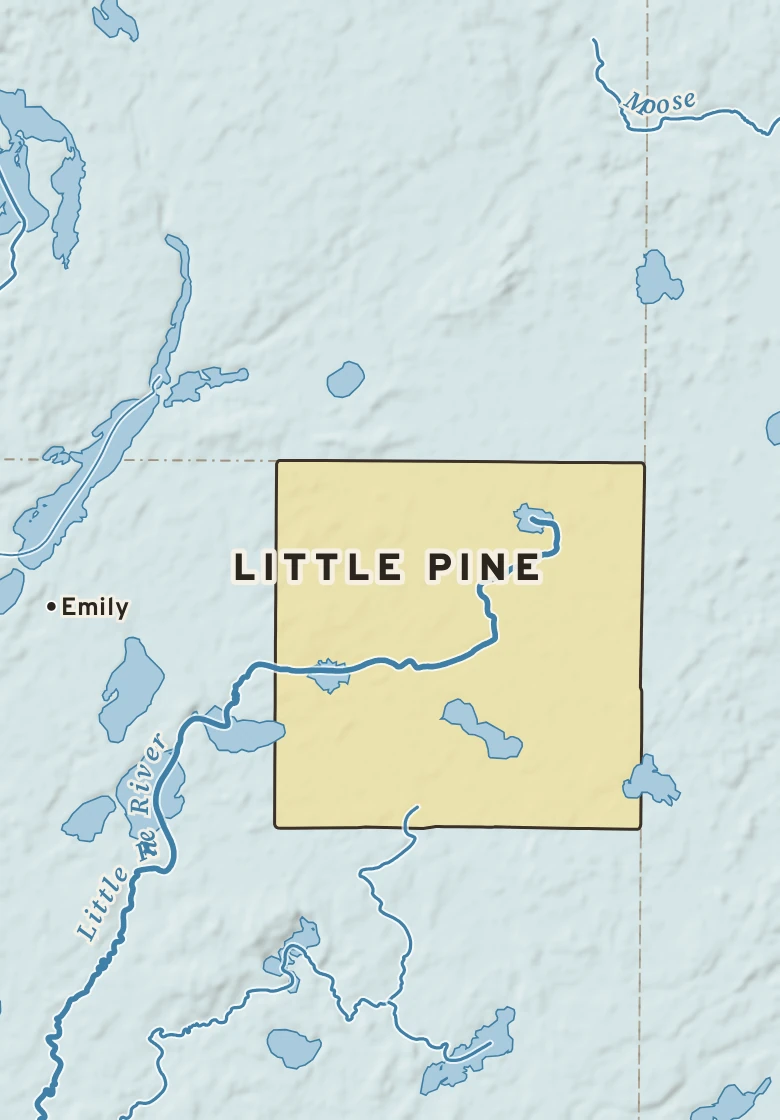 Atlas plate of Little Pine, Minnesota.