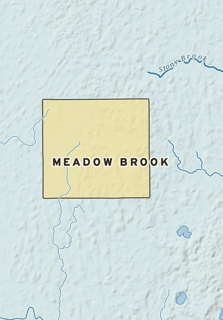 Atlas plate of Meadow Brook, Minnesota.
