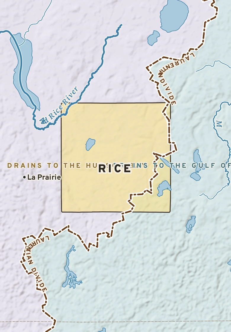 Atlas plate of Rice, Minnesota.