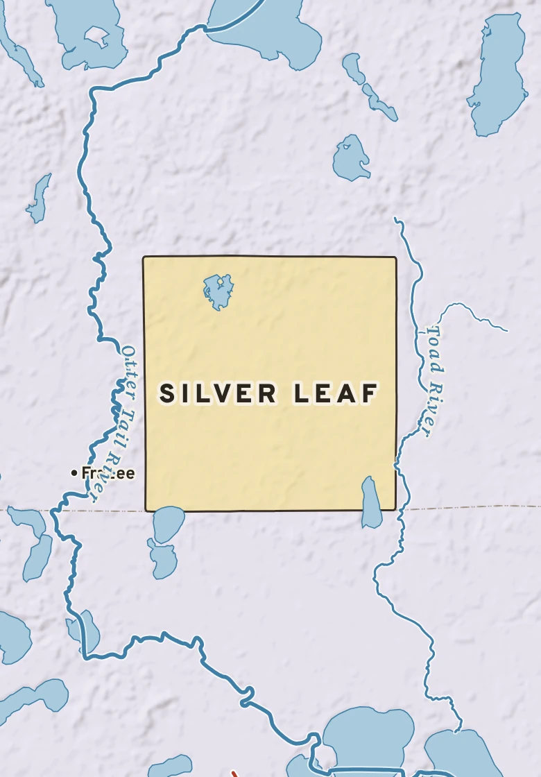 Atlas plate of Silver Leaf, Minnesota.