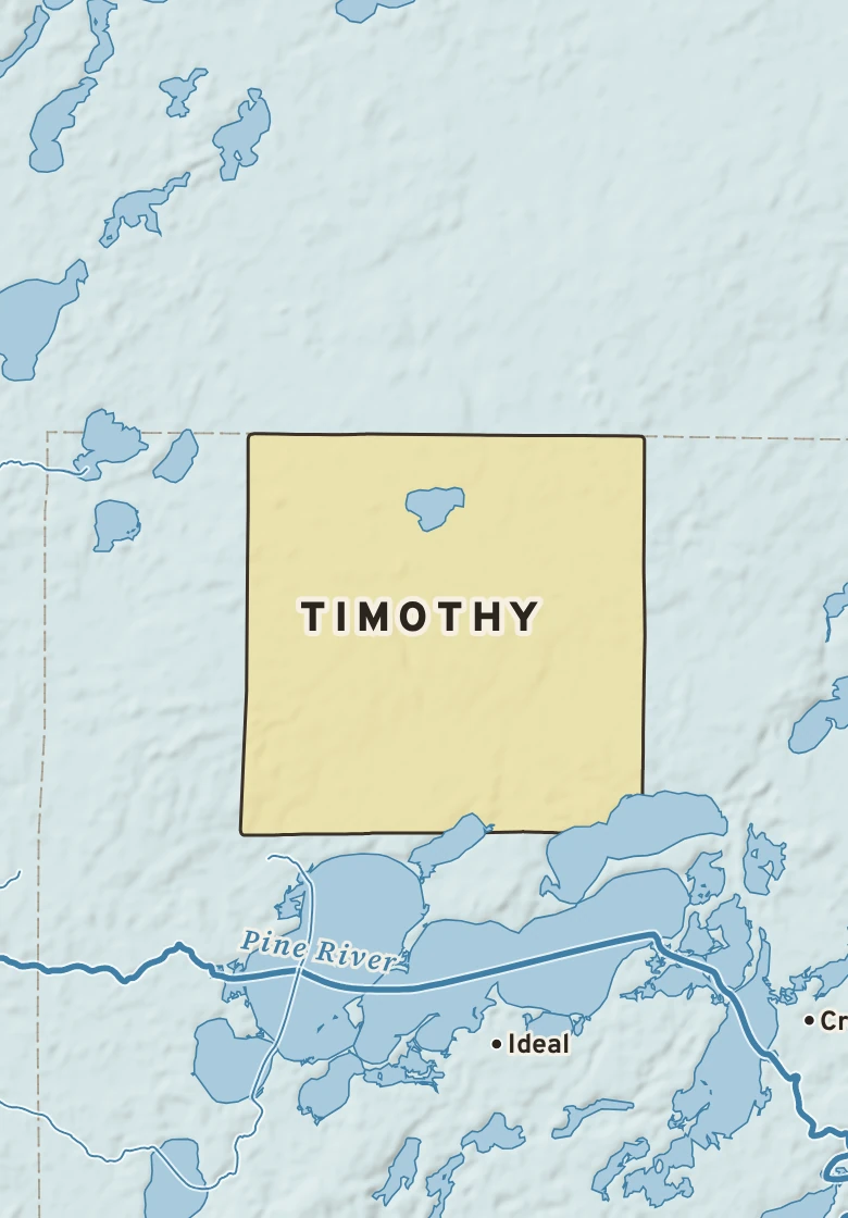 Atlas plate of Timothy, Minnesota.
