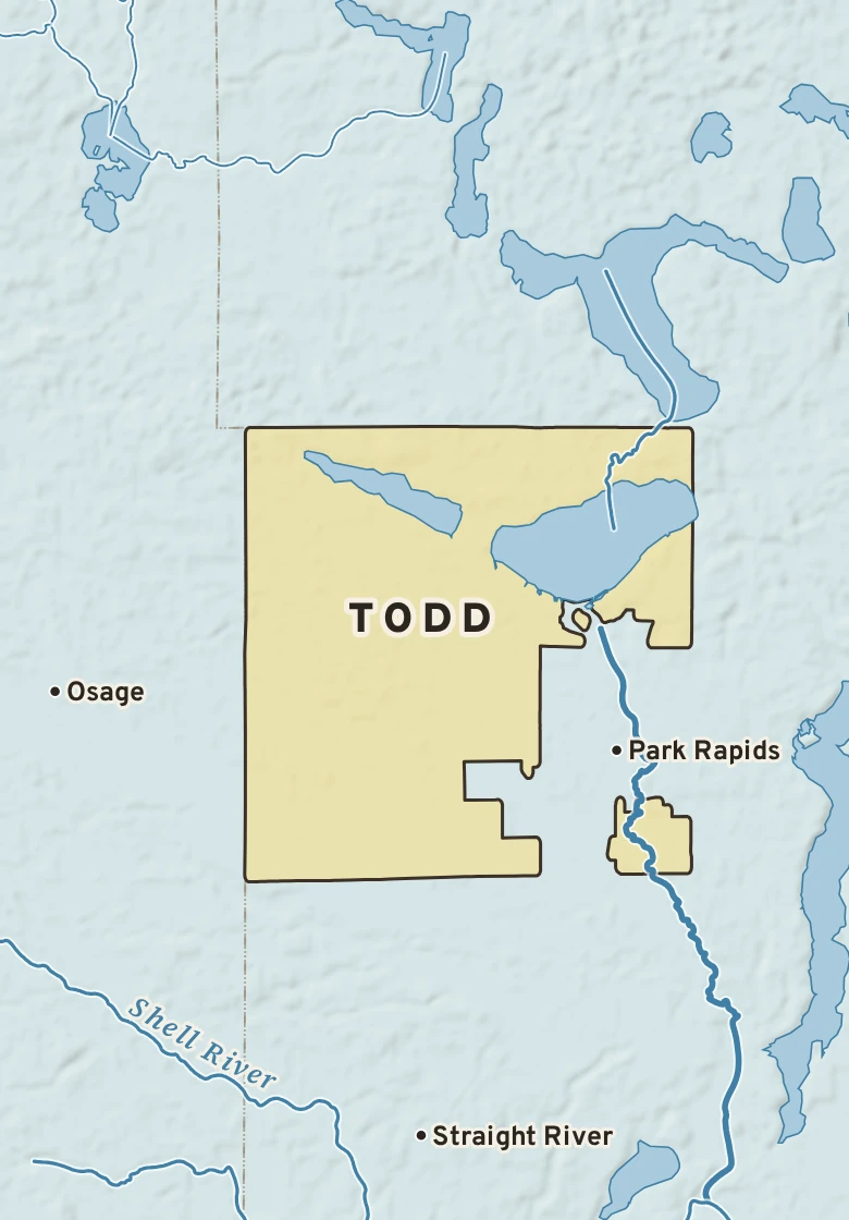 Atlas plate of Todd, Minnesota.