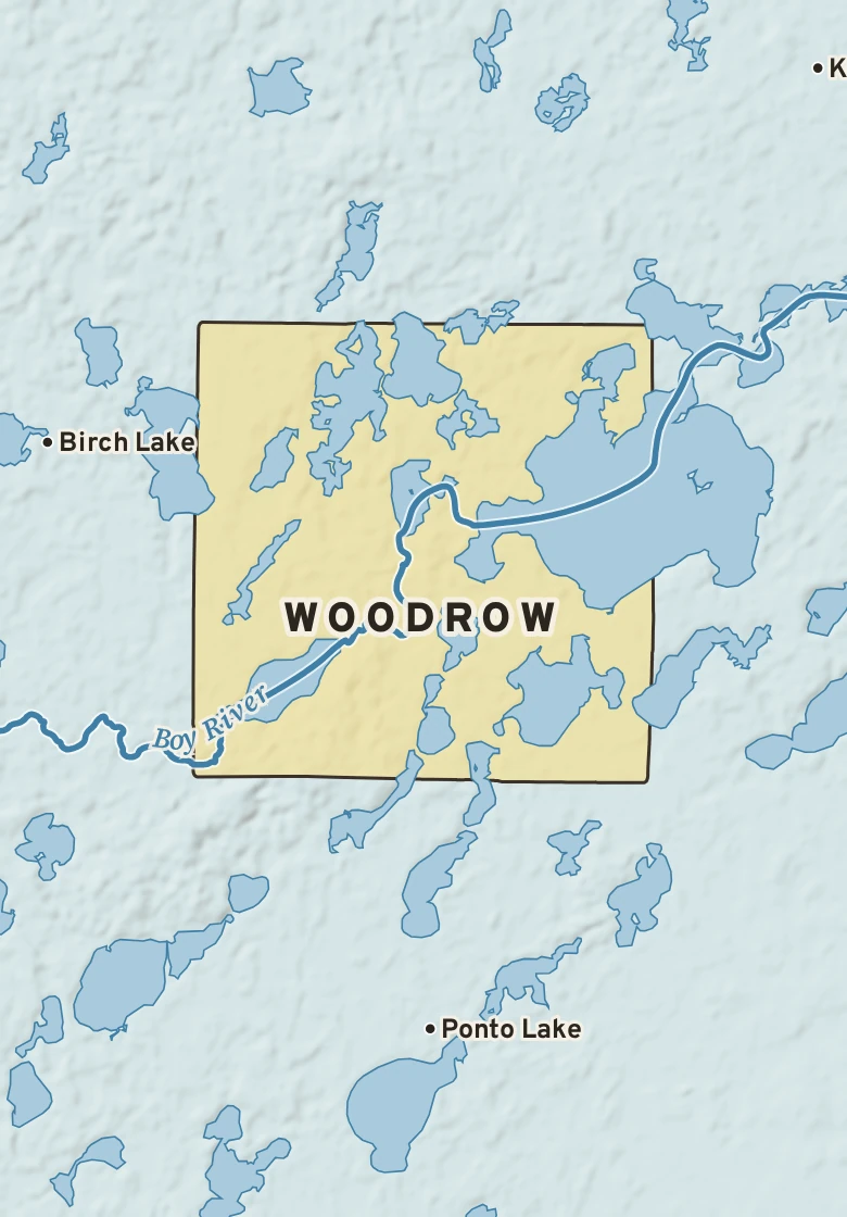 Atlas plate of Woodrow, Minnesota.