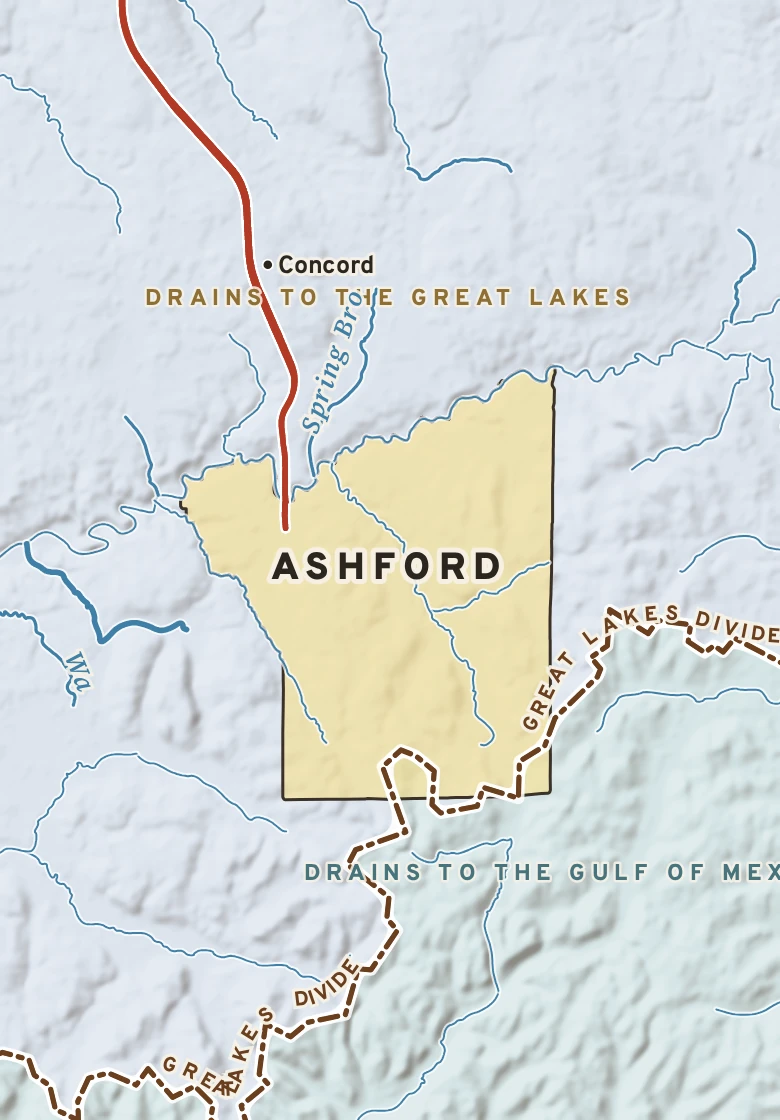 Atlas plate of Ashford, New York.