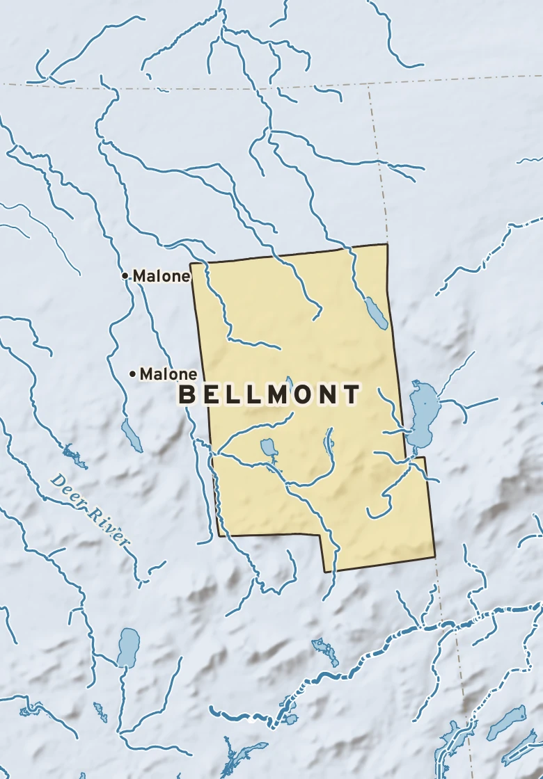 Atlas plate of Bellmont, New York.