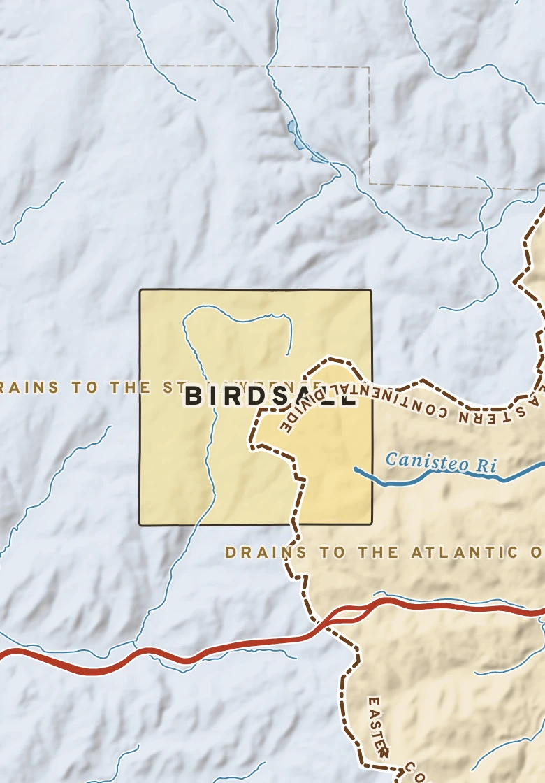 Atlas plate of Birdsall, New York.