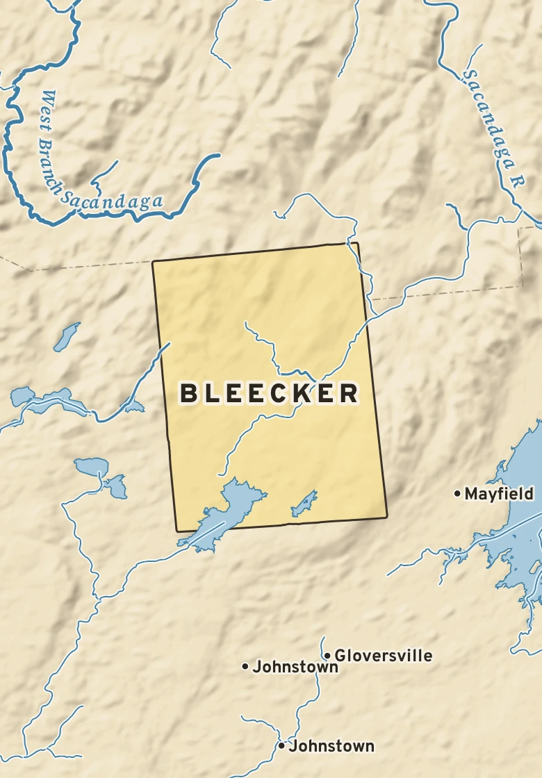Atlas plate of Bleecker, New York.