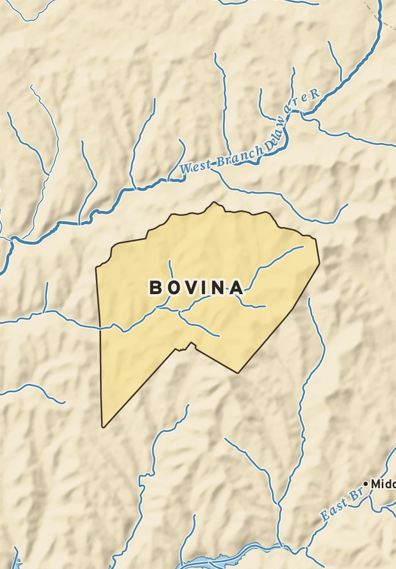 Atlas plate of Bovina, New York.