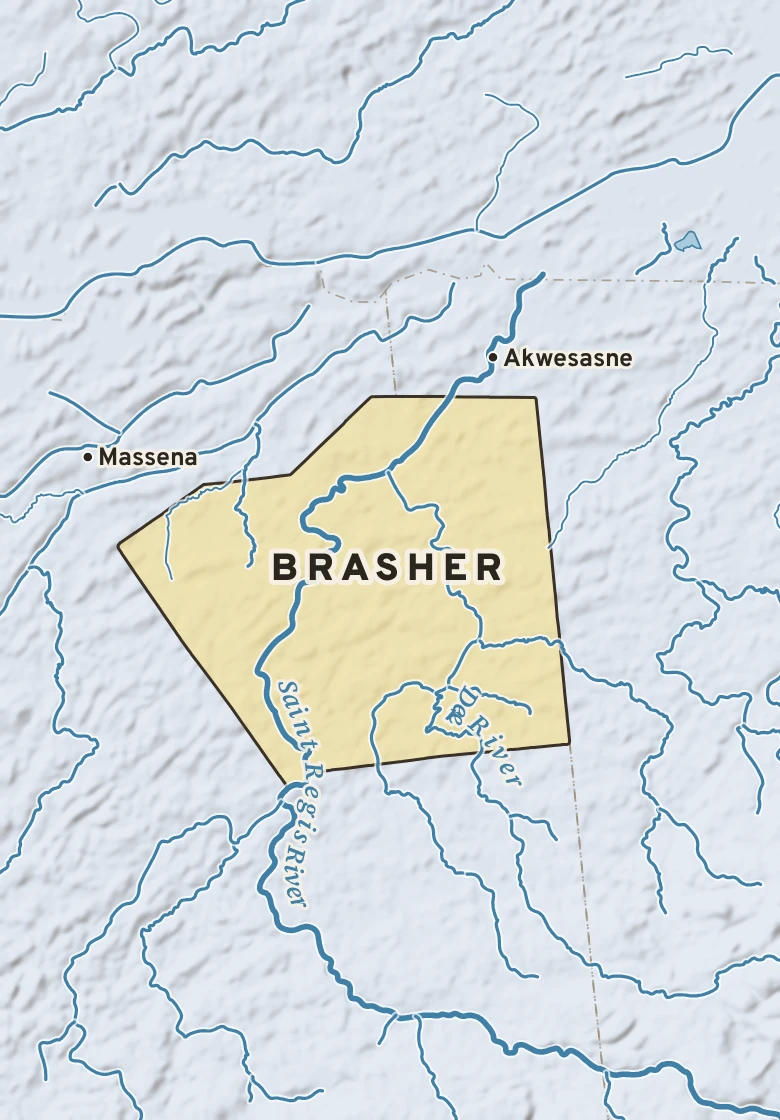 Atlas plate of Brasher, New York.