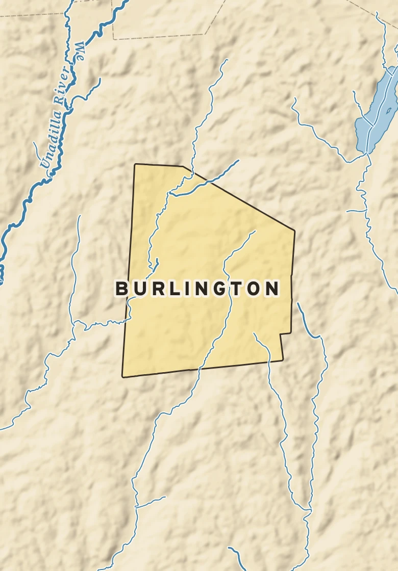 Atlas plate of Burlington, New York.