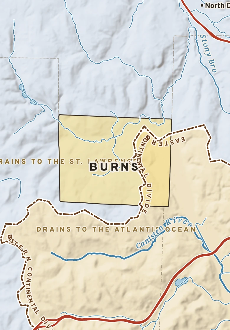 Atlas plate of Burns, New York.