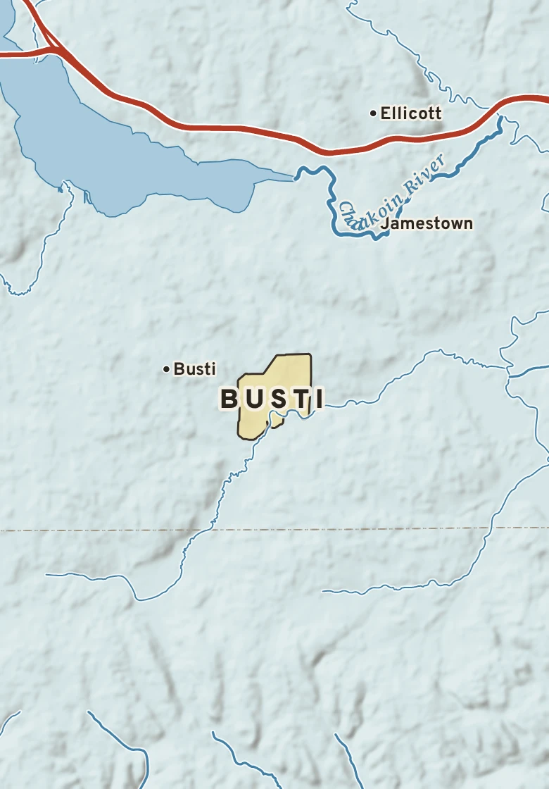 Atlas plate of Busti, New York.
