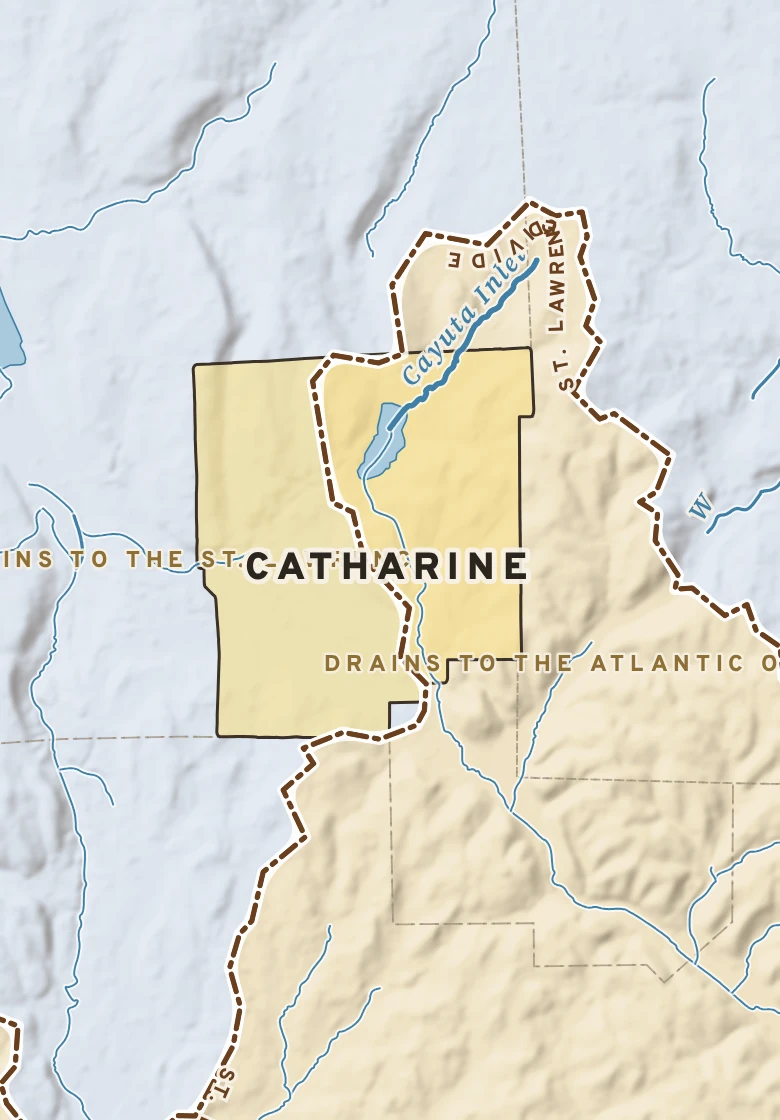 Atlas plate of Catharine, New York.