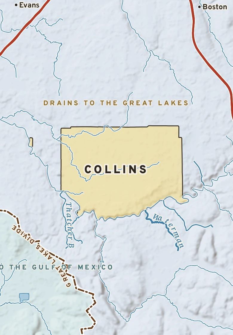 Atlas plate of Collins, New York.
