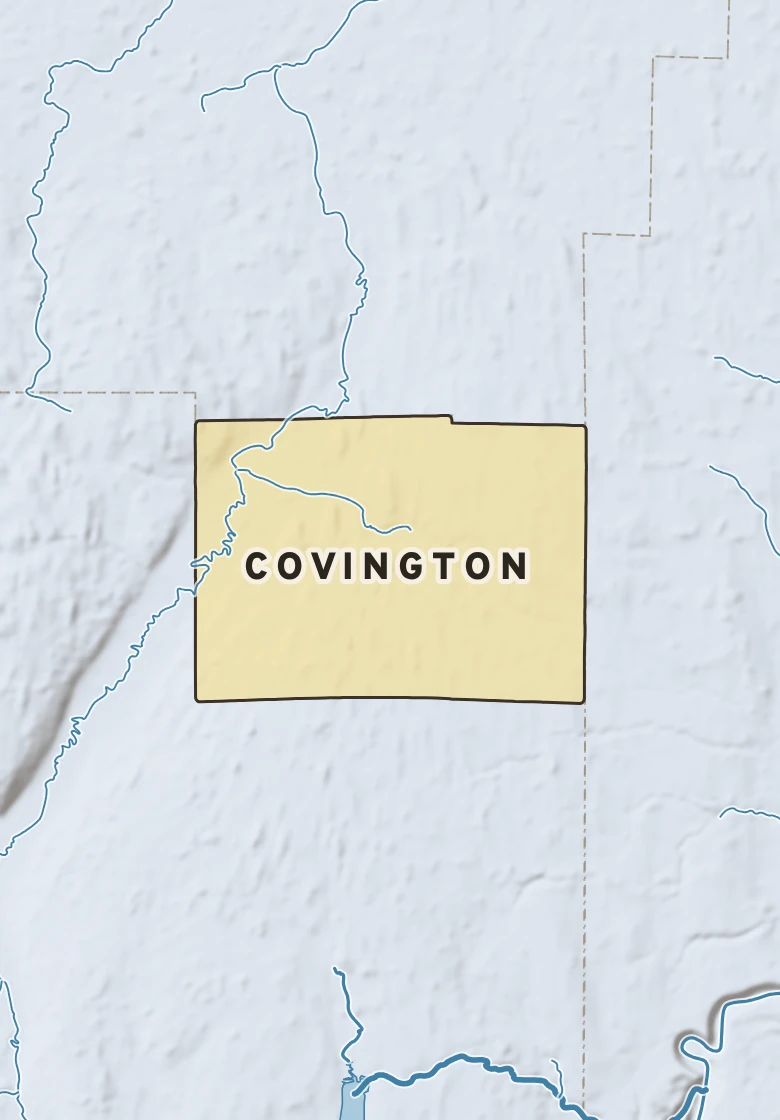 Atlas plate of Covington, New York.