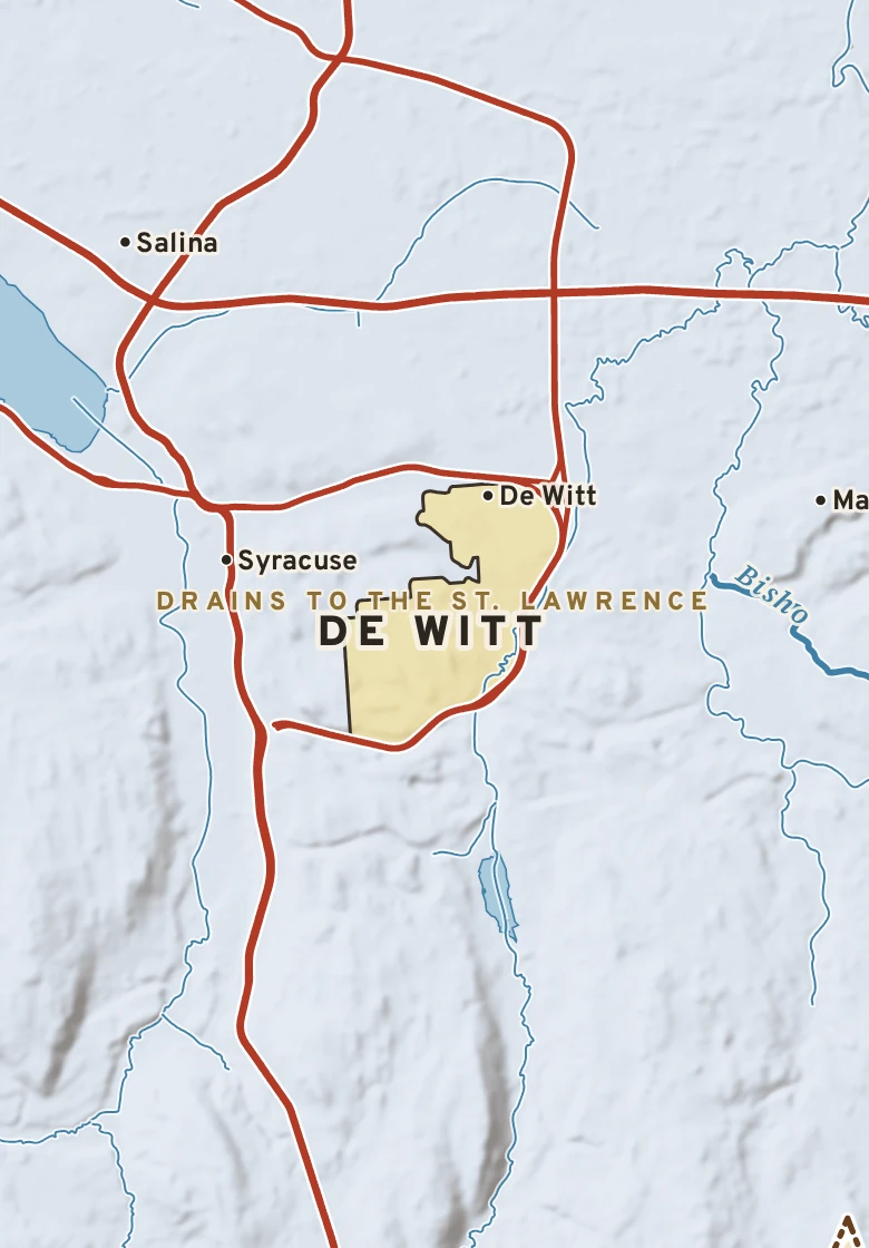 Atlas plate of De Witt, New York.