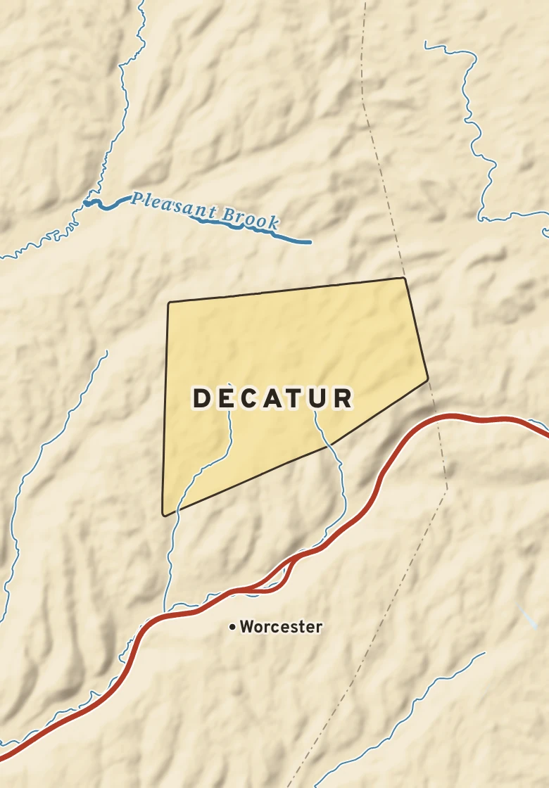 Atlas plate of Decatur, New York.