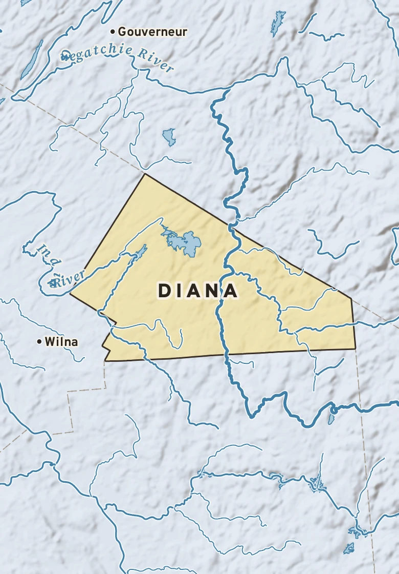 Atlas plate of Diana, New York.