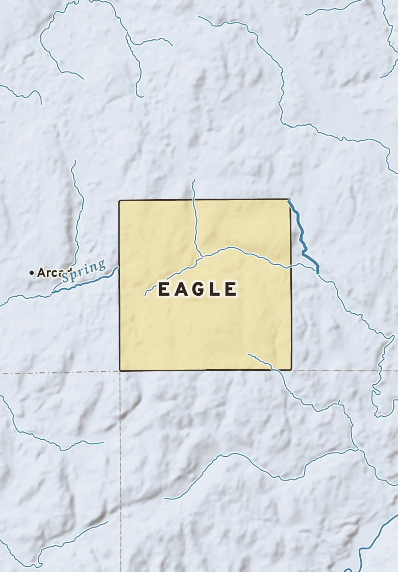 Atlas plate of Eagle, New York.
