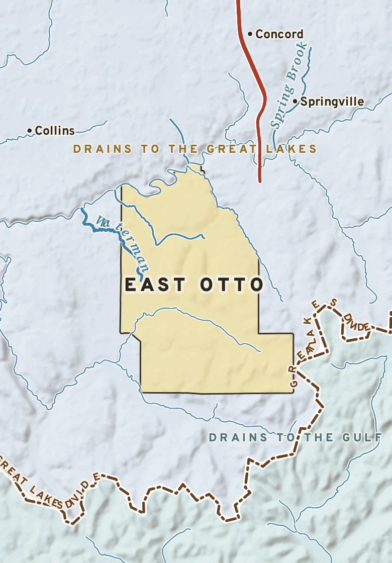Atlas plate of East Otto, New York.