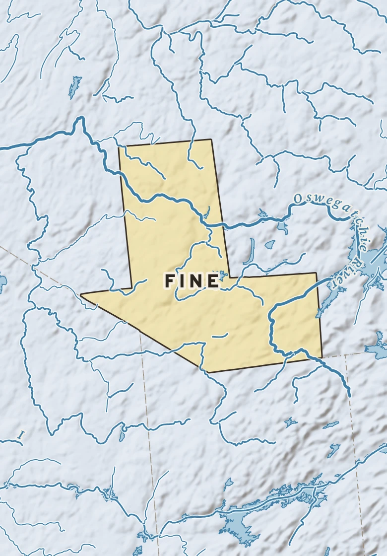 Atlas plate of Fine, New York.
