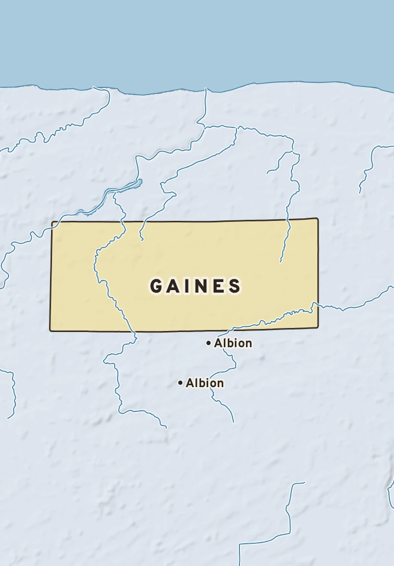 Atlas plate of Gaines, New York.
