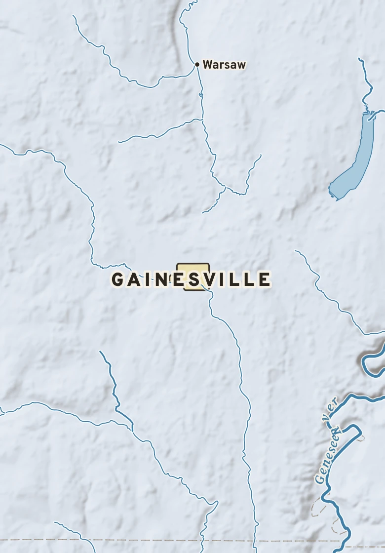 Atlas plate of Gainesville, New York.