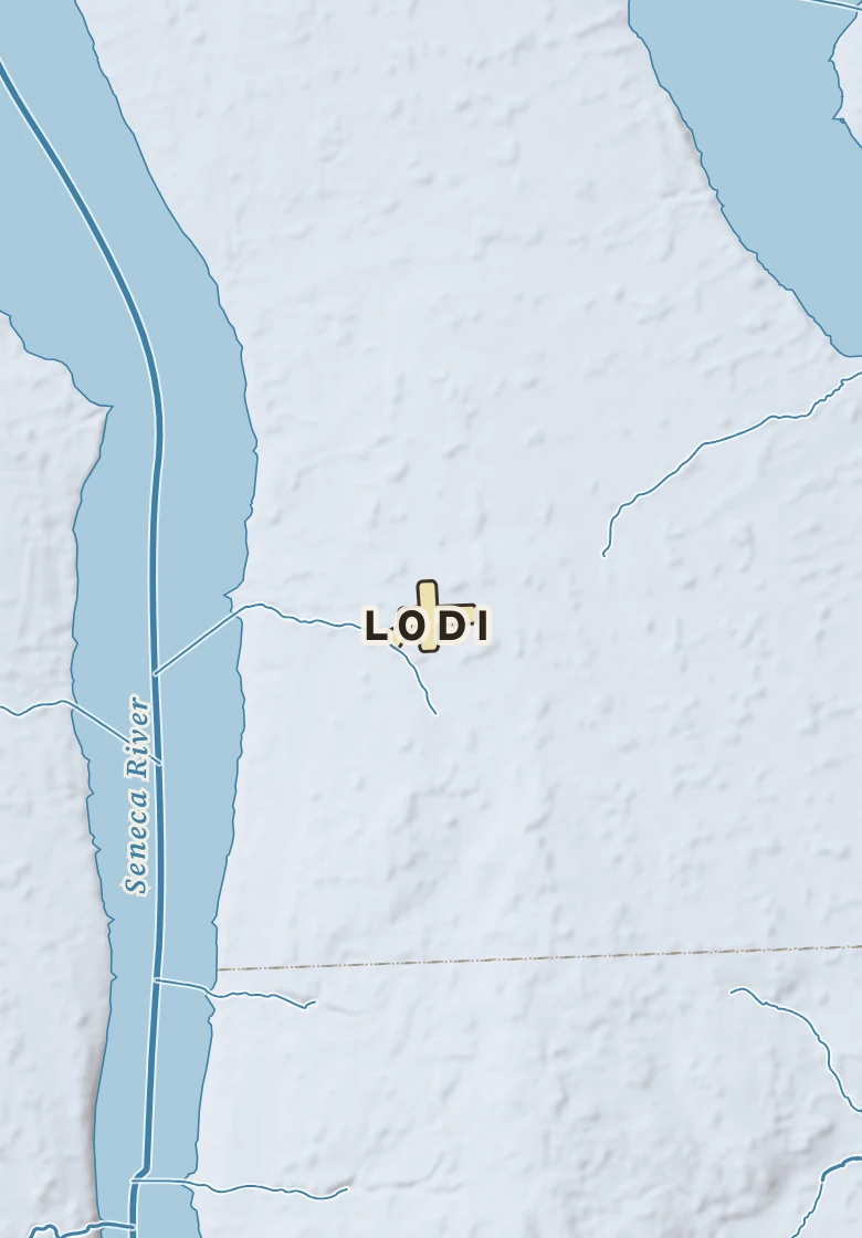 Atlas plate of Lodi, New York.