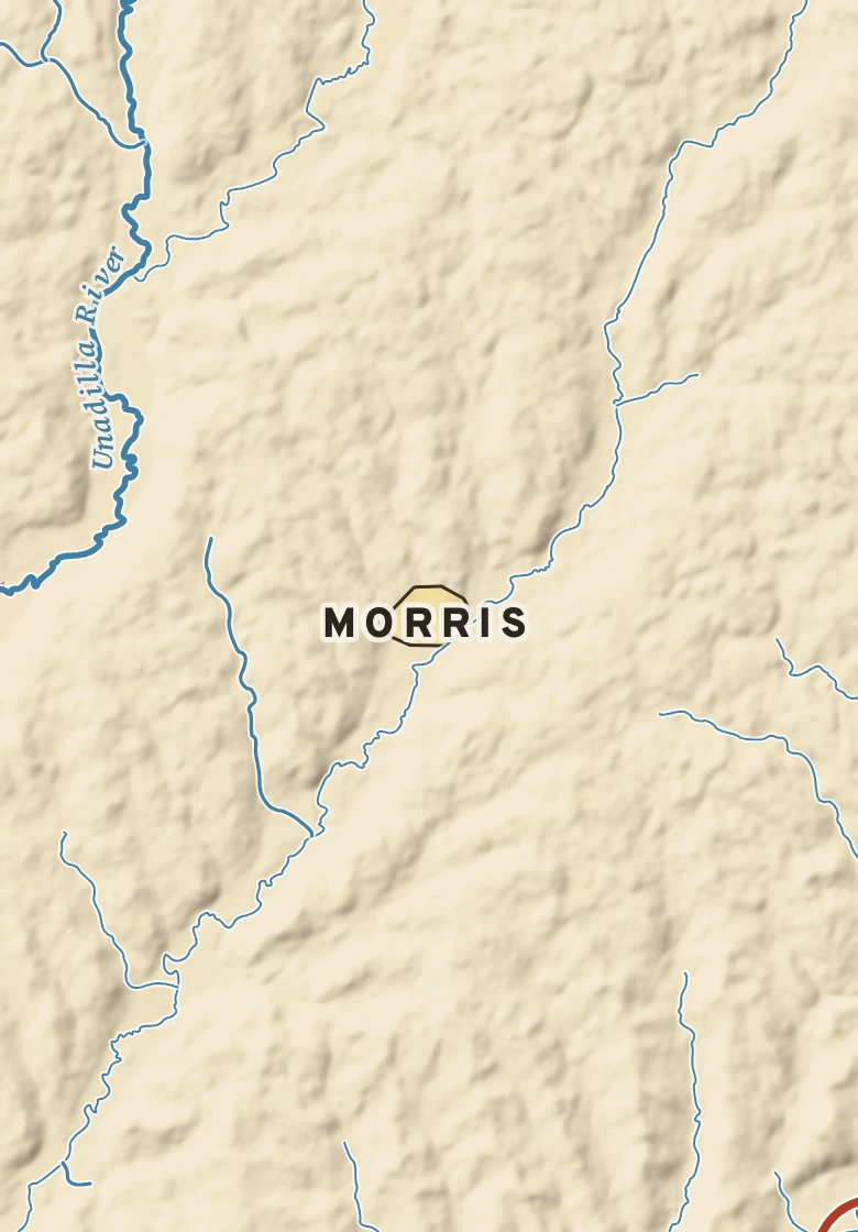 Atlas plate of Morris, New York.