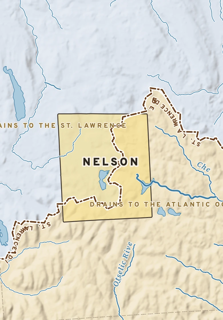 Atlas plate of Nelson, New York.