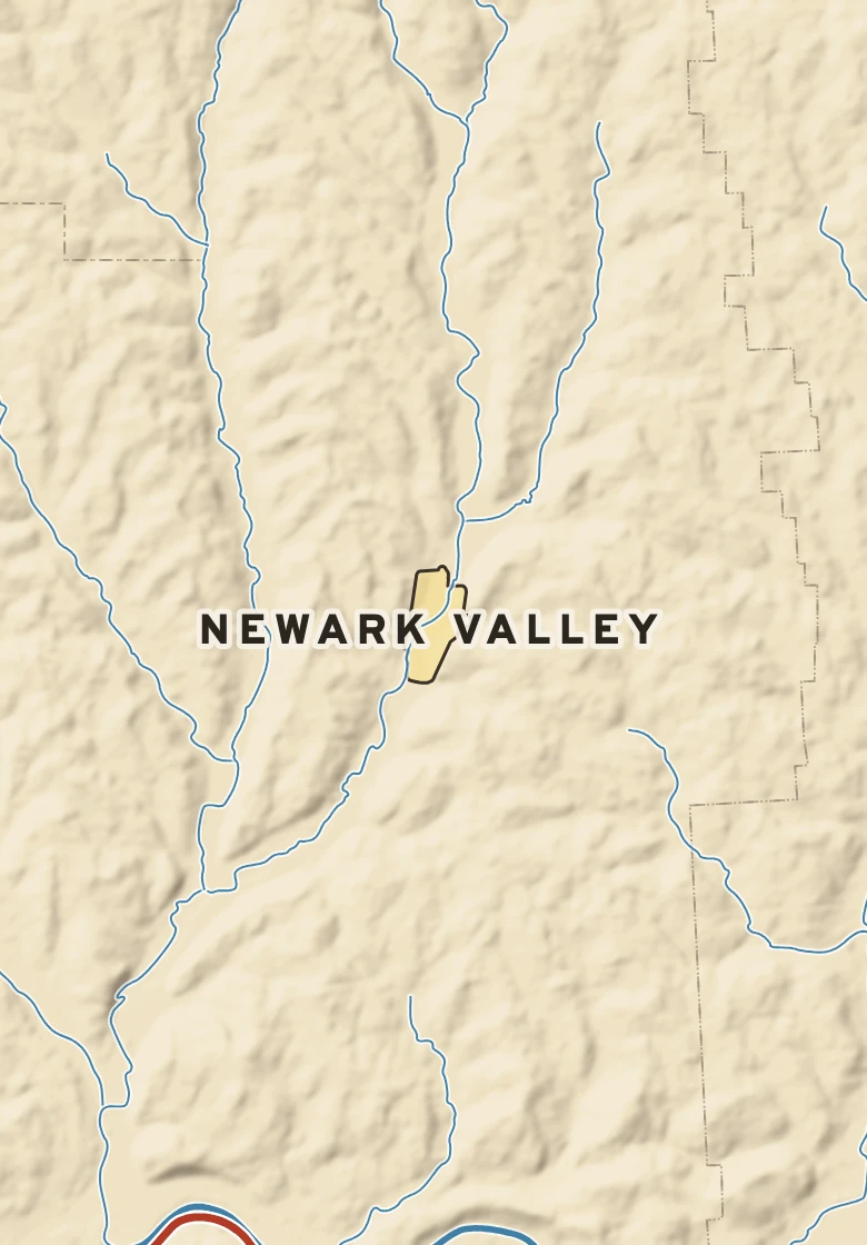 Atlas plate of Newark Valley, New York.