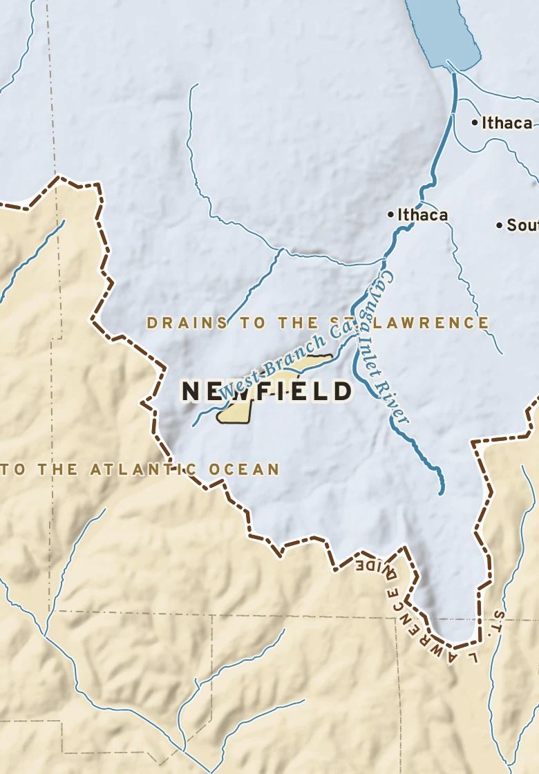 Atlas plate of Newfield, New York.