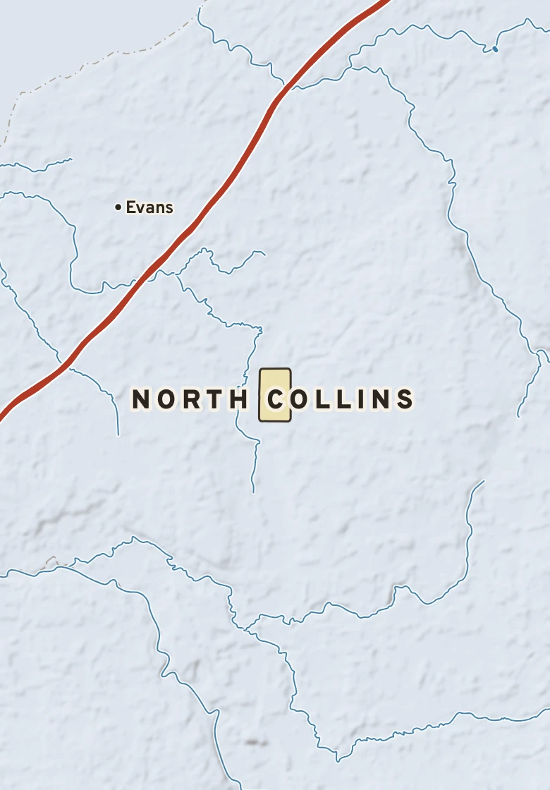 Atlas plate of North Collins, New York.