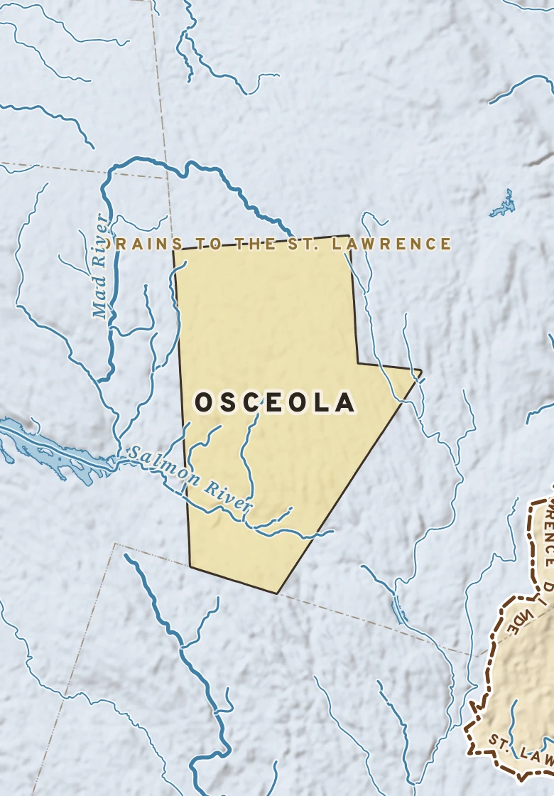 Atlas plate of Osceola, New York.