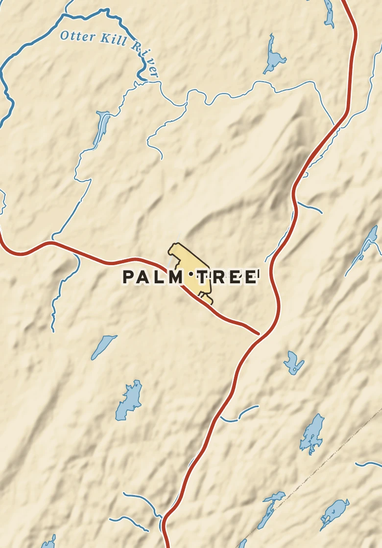 Atlas plate of Palm Tree, New York.