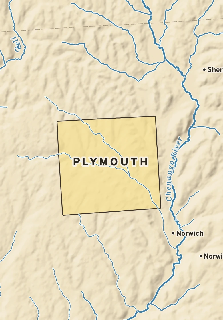 Atlas plate of Plymouth, New York.