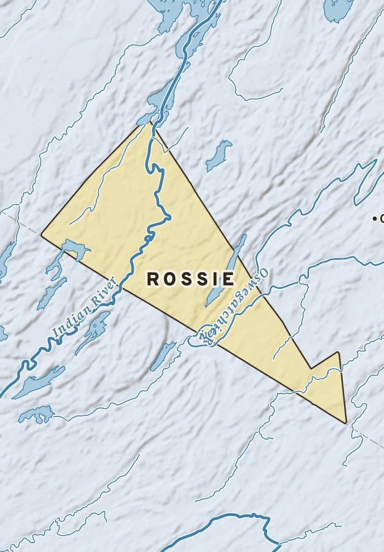 Atlas plate of Rossie, New York.